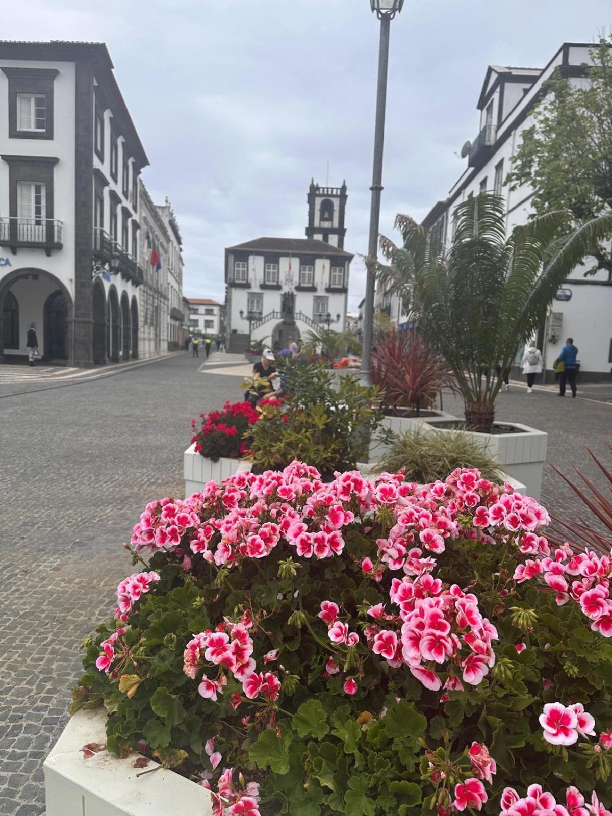 Ponta Delgada Azor International Apartment II מראה חיצוני תמונה